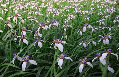 Steam新一周销量榜 《消逝的光芒2》登顶